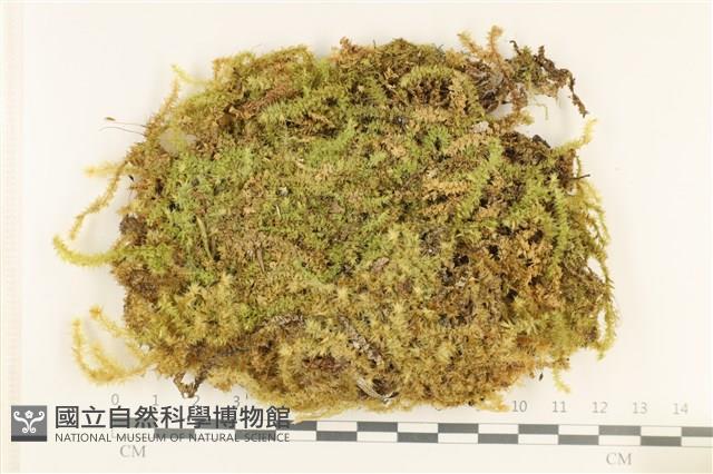 登錄號:B00009457藏品圖，第1張