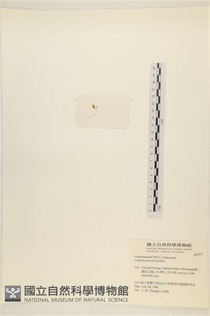 登錄號:A00004957藏品圖，第3張