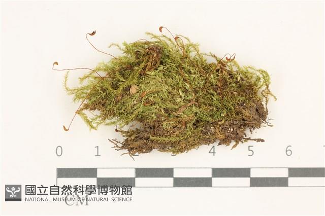 登錄號:B00014627藏品圖，第1張