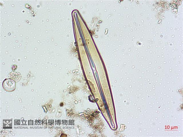 登錄號:A00004627藏品圖，第4張