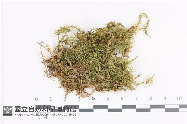 登錄號:B00020627藏品圖，第1張