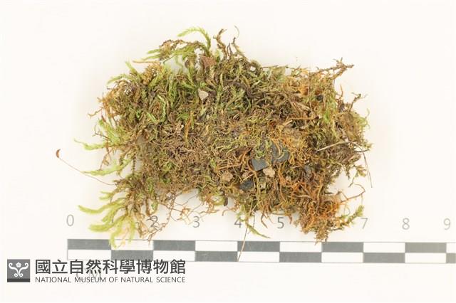 登錄號:B00017227藏品圖，第1張