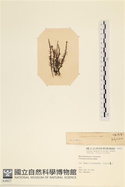 登錄號:A00004027藏品圖，第3張