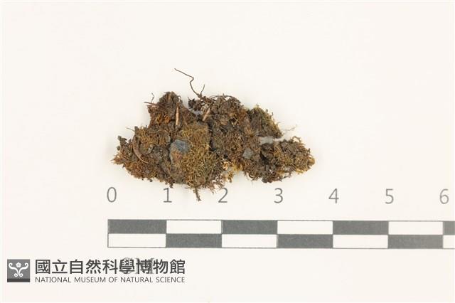 館號:B00019527藏品圖，第1張
