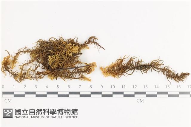 登錄號:B00001527藏品圖，第1張