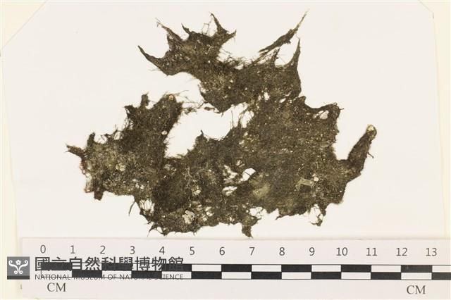 登錄號:A00002427藏品圖，第1張