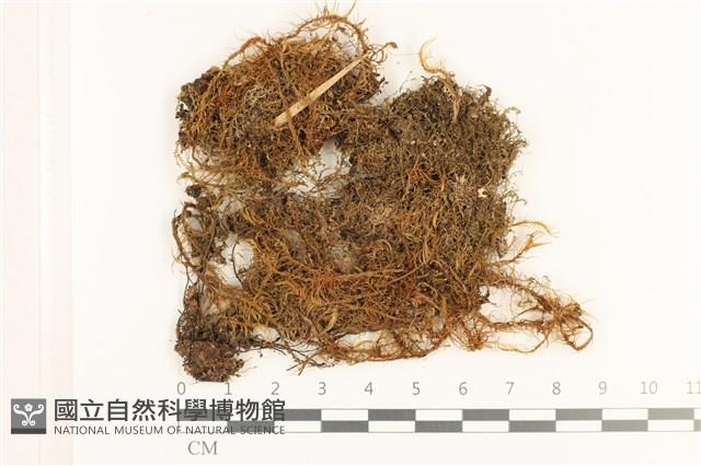 登錄號:B00019427藏品圖，第1張