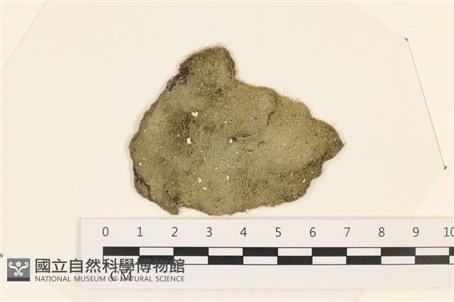 登錄號:A00003427藏品圖，第1張