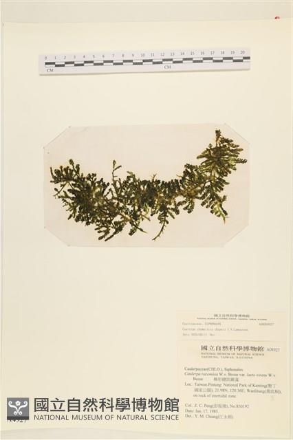 登錄號:A00004927藏品圖，第1張