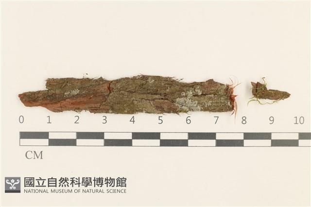 登錄號:B00015327藏品圖，第1張