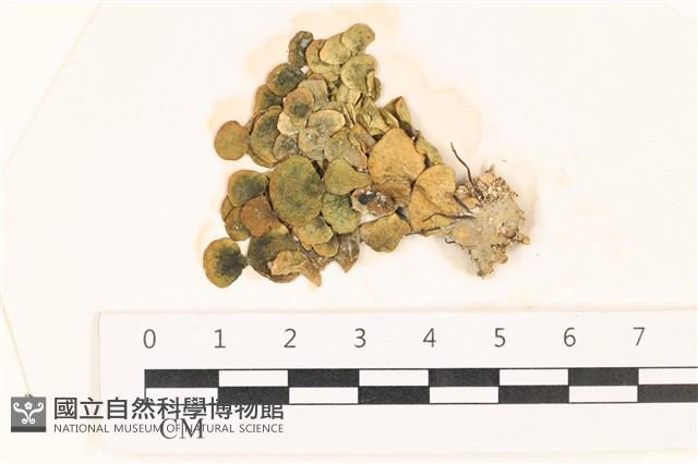 登錄號:A00002677藏品圖，第1張