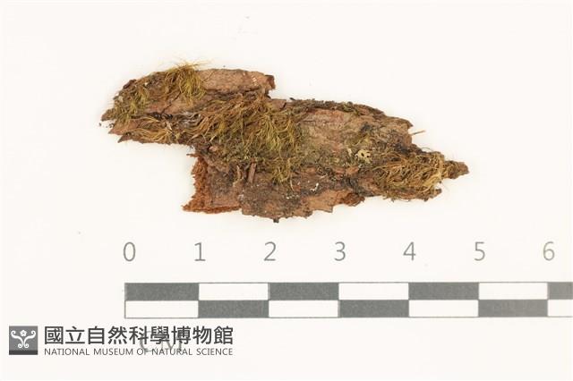 登錄號:B00019677藏品圖，第1張