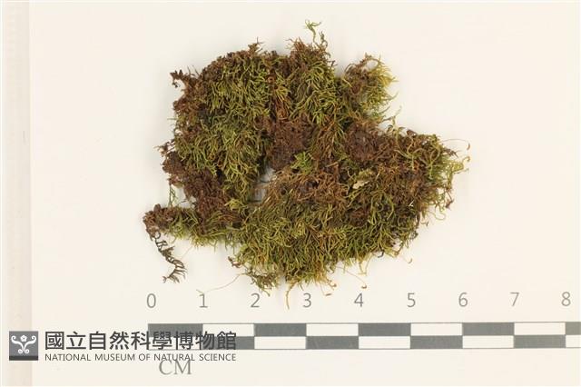 登錄號:B00020677藏品圖，第1張