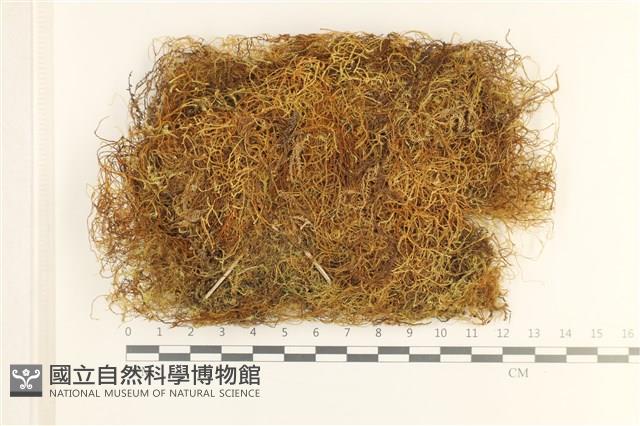 登錄號:B00010677藏品圖，第1張