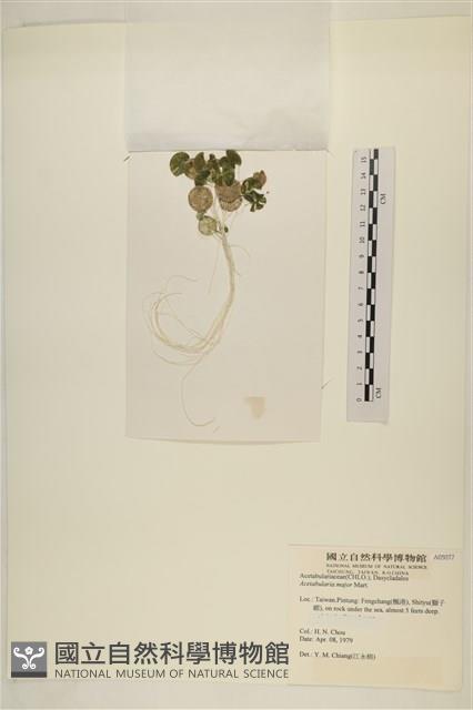 登錄號:A00005077藏品圖，第3張