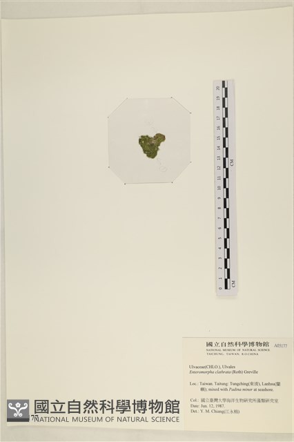 登錄號:A00003177藏品圖，第3張