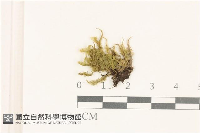 登錄號:B00004577藏品圖，第1張