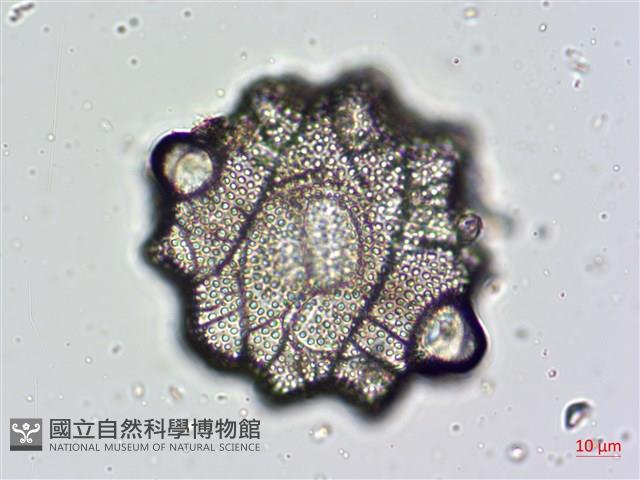 登錄號:A00004477藏品圖，第4張