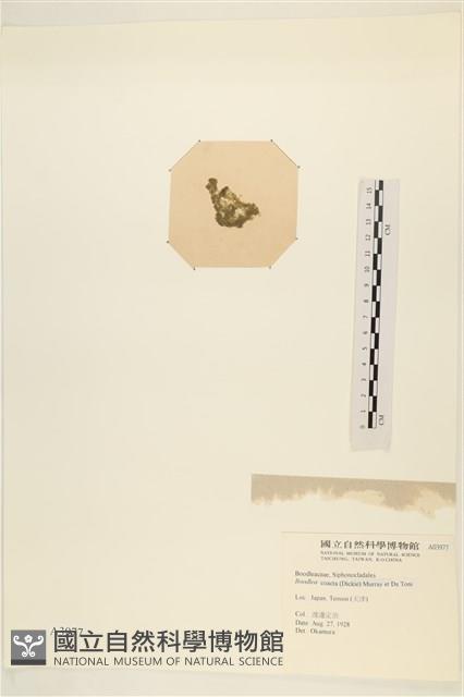 登錄號:A00003977藏品圖，第3張