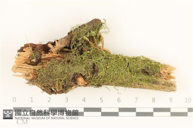 登錄號:B00012377藏品圖，第1張