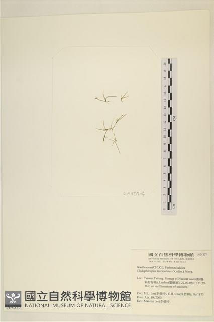 登錄號:A00004377藏品圖，第3張
