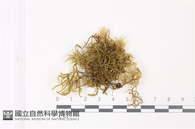 登錄號:B00011377藏品圖，第1張