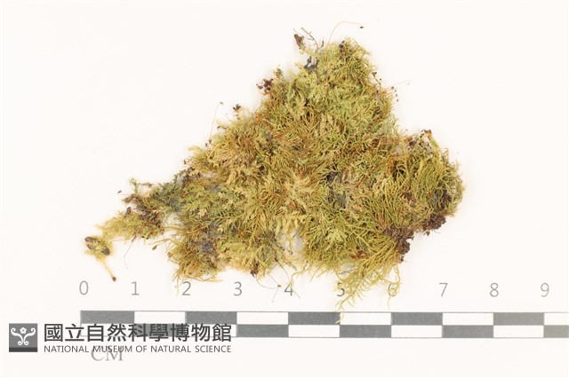 登錄號:B00000377藏品圖，第1張