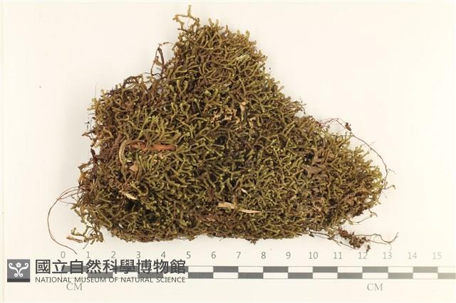 登錄號:B00017777藏品圖，第1張