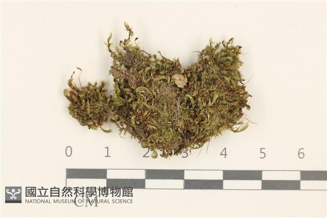 登錄號:B00003777藏品圖，第1張