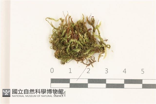 登錄號:B00014617藏品圖，第1張