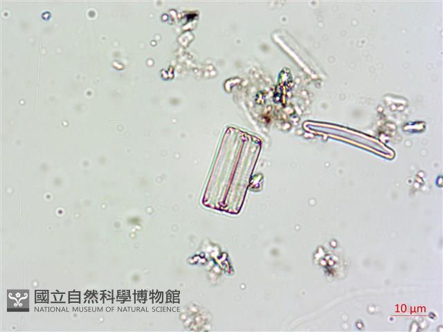 登錄號:A00004617藏品圖，第4張