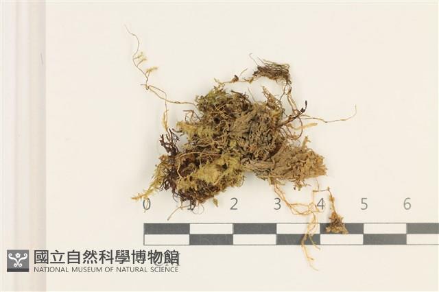 登錄號:B00019217藏品圖，第1張