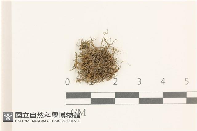 登錄號:B00015117藏品圖，第1張