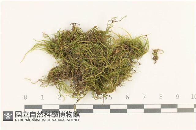 登錄號:B00002517藏品圖，第1張