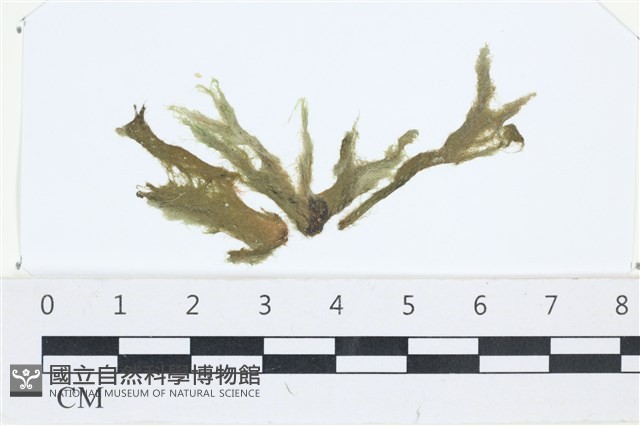 登錄號:A00002517藏品圖，第1張