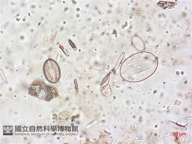 登錄號:A00004517藏品圖，第4張
