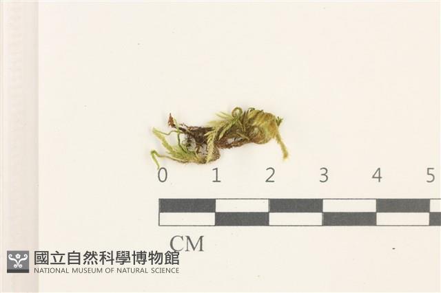 登錄號:B00012417藏品圖，第1張