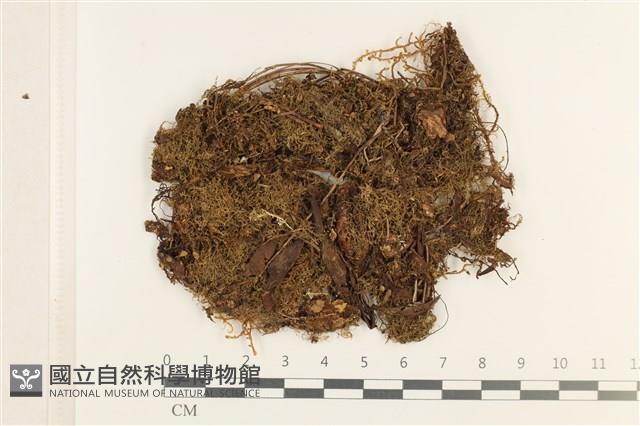 館號:B00019417藏品圖，第1張