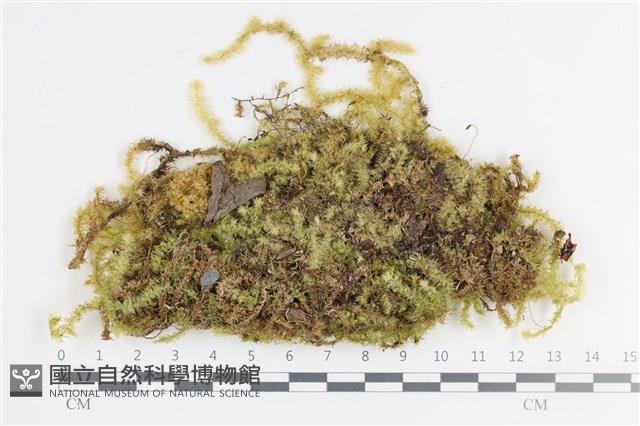 登錄號:B00009417藏品圖，第1張