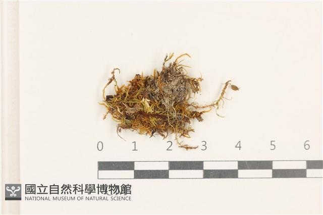 登錄號:B00017417藏品圖，第1張