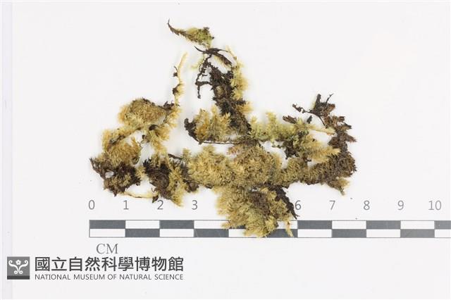 登錄號:B00001417藏品圖，第1張