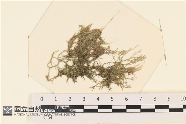 登錄號:A00006717藏品圖，第1張