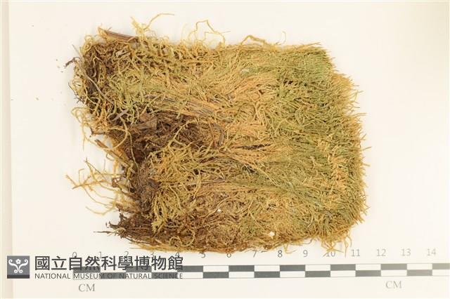 Accession Number:B00001717 Collection Image, Figure 1, Total 2 Figures