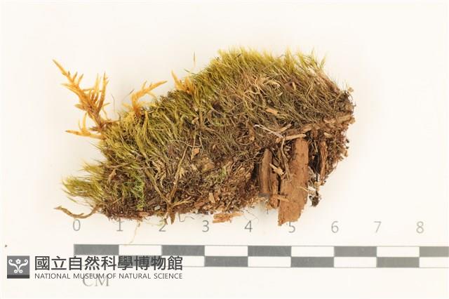 登錄號:B00017297藏品圖，第1張