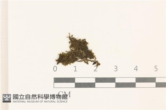 登錄號:B00007297藏品圖，第1張