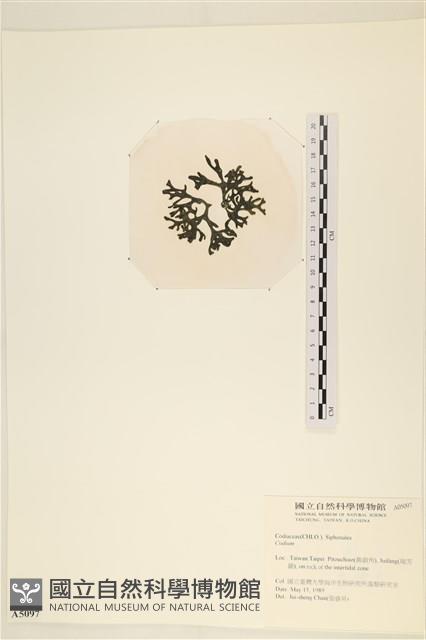 登錄號:A00005097藏品圖，第3張