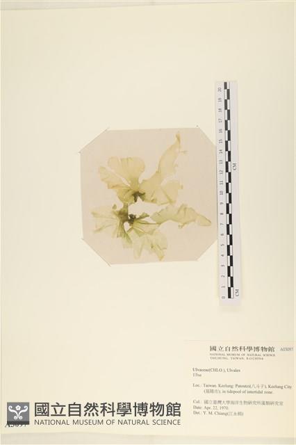 登錄號:A00003097藏品圖，第3張