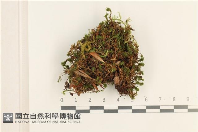 登錄號:B00008197藏品圖，第1張