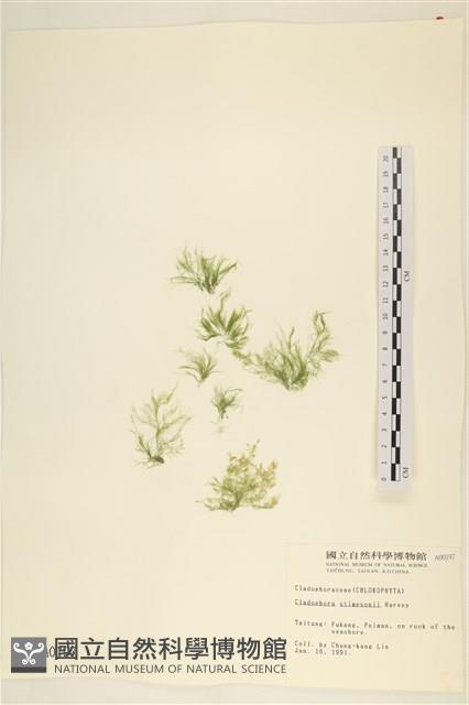 登錄號:A00000197藏品圖，第1張