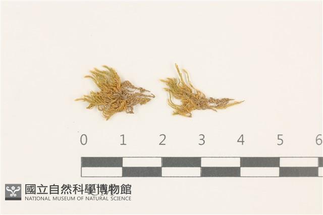 Accession Number:B00009597 Collection Image, Figure 1, Total 2 Figures